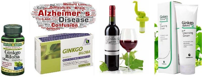 Gingko Biloba Extract application Gingko Biloba Extract application