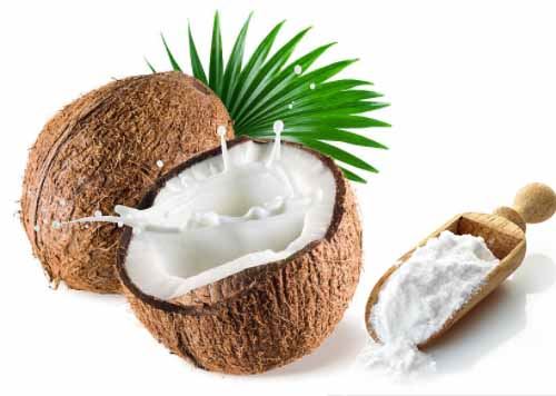 Organic Coconut MCT Powder Organic Coconut MCT Powder