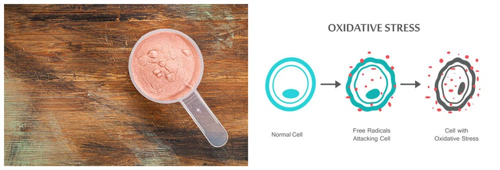 Antioxidant properties of Fermented Pomegranate Powder Antioxidant properties of Fermented Pomegranate Powder