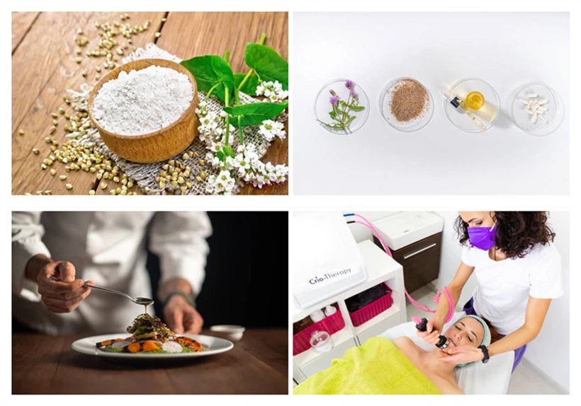 Applications of Silybum Marianum Seed Oil Powder Applications of Silybum Marianum Seed Oil Powder