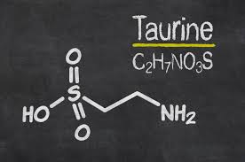 Dab tsi yog qhov ua haujlwm ntawm taurine hauv cov tsiaj?