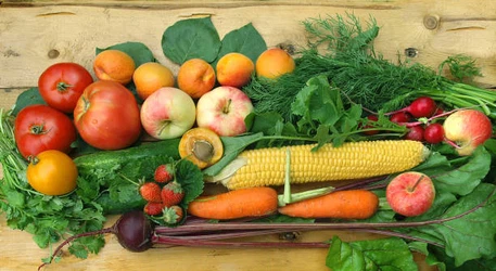 info-612-335 info-612-335