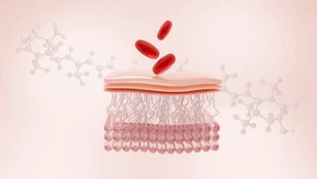 info-612-345 info-612-345