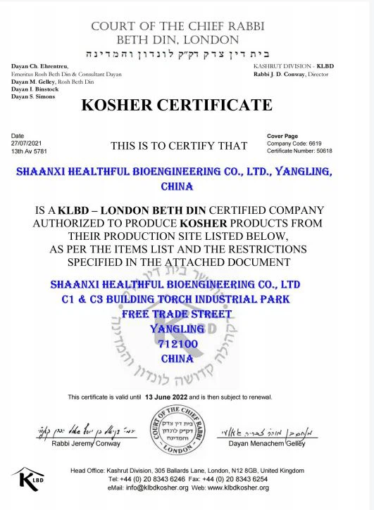 Ginkgo Biloba Extract Powder