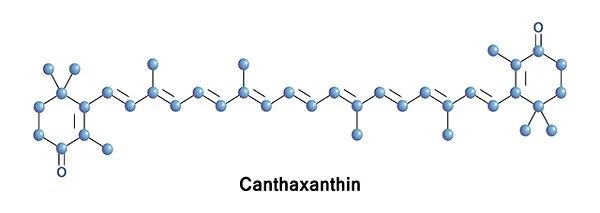 3 Cov txiaj ntsig ntawm Canthaxanthin Koj Yuav Tsum Paub